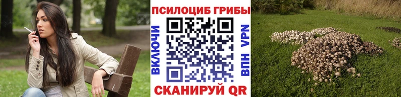 Псилоцибиновые грибы GOLDEN TEACHER  продажа наркотиков  Сухиничи 
